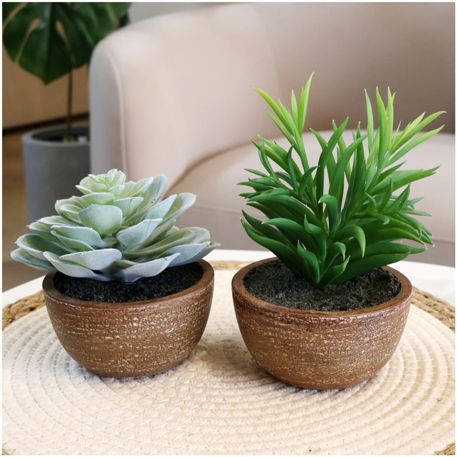 Plastic Artificial Succulent for Office Use