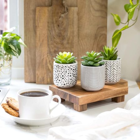 Artificial Succulent Potted Plant