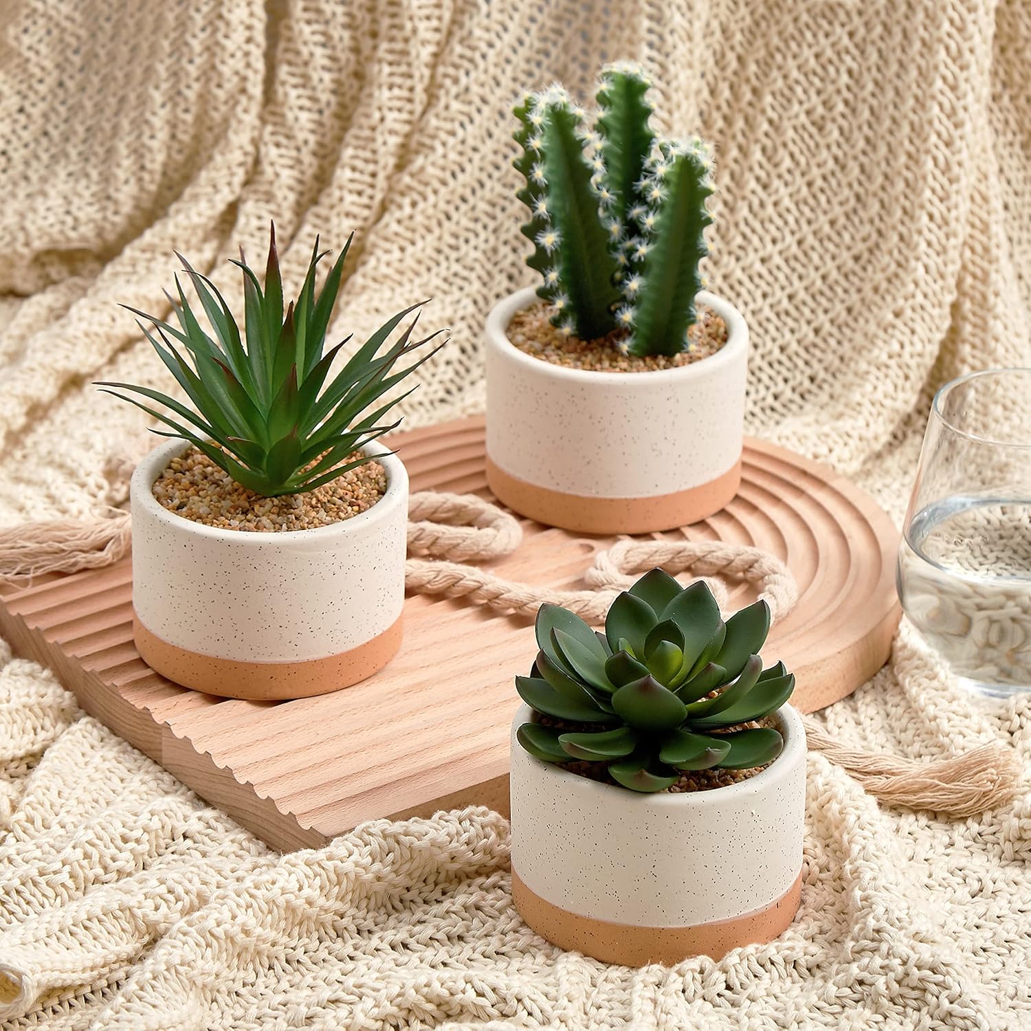 Artificial Succulent in Ceramic Pot